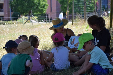 Les activités de la ferme