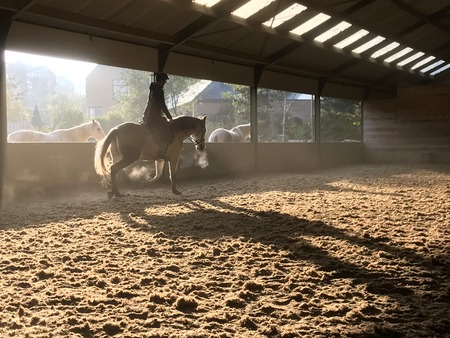 Stage à la ferme