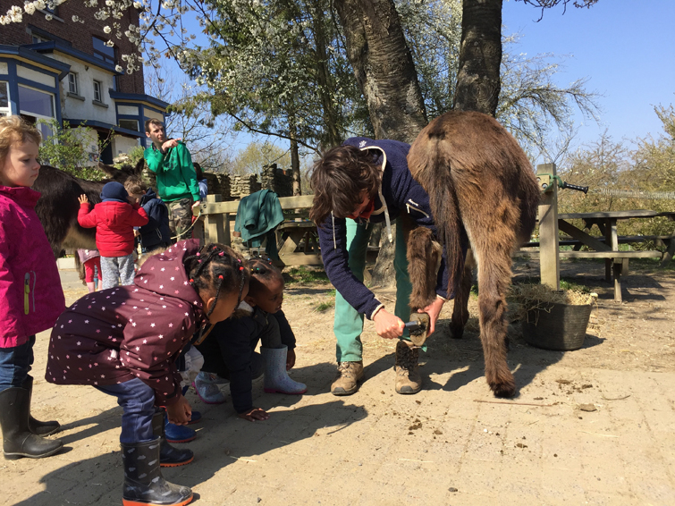 Les activités de la ferme